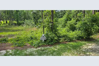 101 Owens Circle, Seven Lakes, NC 27376 - Photo 1