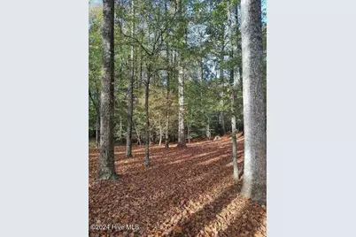 104 Gambit Court, Washington, NC 27889 - Photo 8