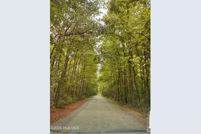 240 McGregor Woods Road, Chapel Hill, NC 27517 - Photo 44