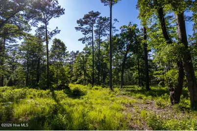 110 Queen Annes Court, Oriental, NC 28571 - Photo 14
