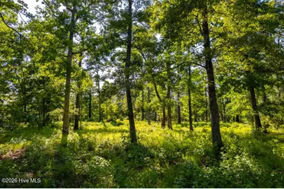 110 Queen Annes Court, Oriental, NC 28571 - Photo 12