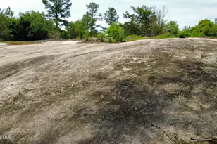 2467 Louisville Rd, Appling, GA 30802 - Photo 44
