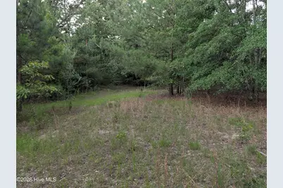285 Garvin Drive, Wagener, SC 29164 - Photo 14