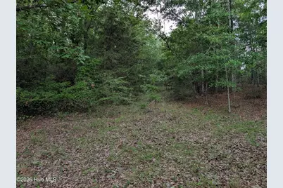 285 Garvin Drive, Wagener, SC 29164 - Photo 12