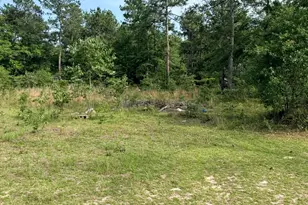 125 Jacob McKie Rd, Trenton, SC 29847 - Photo 10