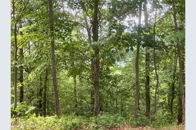 Lot 51 Buck Ridge Drive, Murphy, NC 28906 - Photo 10