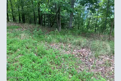 Lot 51 Buck Ridge Drive, Murphy, NC 28906 - Photo 8
