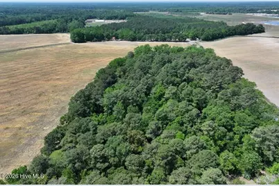 Tbd N Duffie Road, Red Springs, NC 28377 - Photo 6