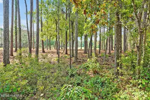 3185 Wexford Way, Southport, NC 28461 - Photo 40