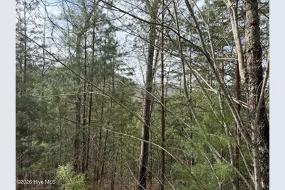 0000 Ogreeta Road, Murphy, NC 28906 - Photo 24