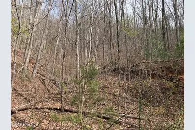 0000 Ogreeta Road, Murphy, NC 28906 - Photo 22