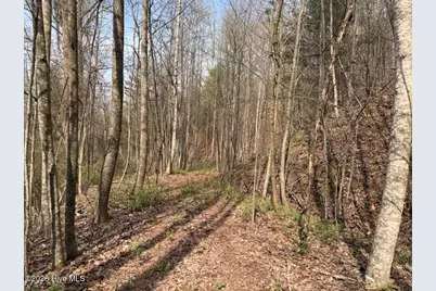 0000 Ogreeta Road, Murphy, NC 28906 - Photo 18