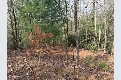 0000 Ogreeta Road, Murphy, NC 28906 - Photo 10