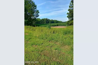 289 Grists Road, Chadbourn, NC 28431 - Photo 1