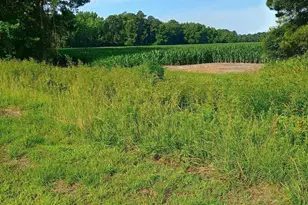 289 Grists Rd, Chadbourn, NC 28431 - Photo 1