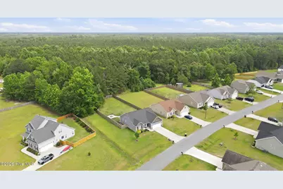 101 Trellis Lane, Vanceboro, NC 28586 - Photo 48