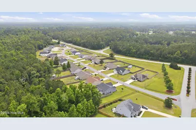 101 Trellis Lane, Vanceboro, NC 28586 - Photo 54