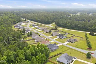 101 Trellis Ln, Vanceboro, NC 28586 - Photo 54