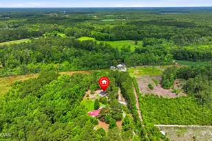 273 Lucilles Pl, Burgaw, NC 28425 - Photo 30
