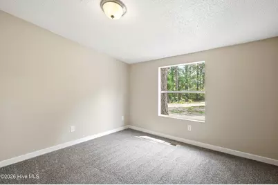 273 Lucilles Place, Burgaw, NC 28425 - Photo 18