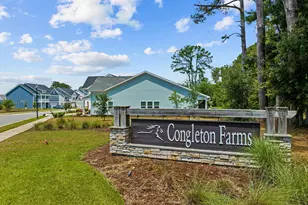 1245 Lt Congleton Rd, Wilmington, NC 28409 - Photo 60