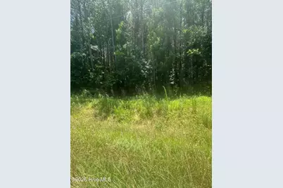 Near 721 Joe Piver Road, Chadbourn, NC 28431 - Photo 6