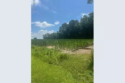 Near 721 Joe Piver Road, Chadbourn, NC 28431 - Photo 1
