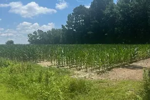 Near 721 Joe Piver Rd, Chadbourn, NC 28431 - Photo 1