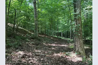 Lot 17 Lakeshore Estates Drive, Lincolnton, GA 30817 - Photo 8