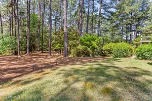 325 Lupin Pl, Southern Pines, NC 28387 - Photo 22