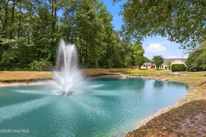 4124 Pine Brush Drive, Leland, NC 28451 - Photo 56