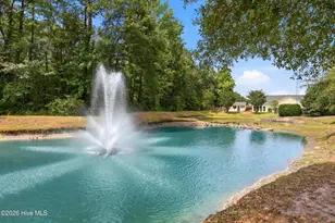 4124 Pine Brush Dr, Leland, NC 28451 - Photo 56