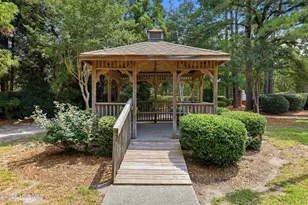 4124 Pine Brush Dr, Leland, NC 28451 - Photo 58