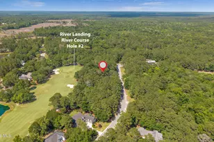 185 Red Berry Dr, Wallace, NC 28466 - Photo 40