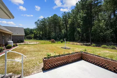 310 S Merganser Drive, Pikeville, NC 27863 - Photo 10