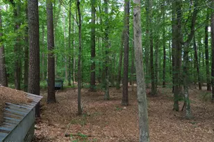 417 Hastings Ln, Elizabeth City, NC 27909 - Photo 62