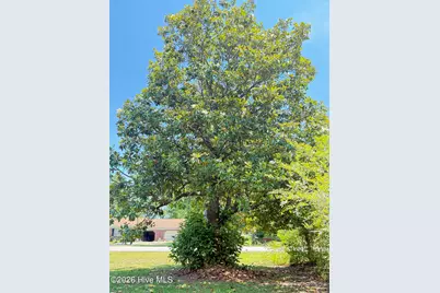 480 Nc-37, Gatesville, NC 27938 - Photo 40