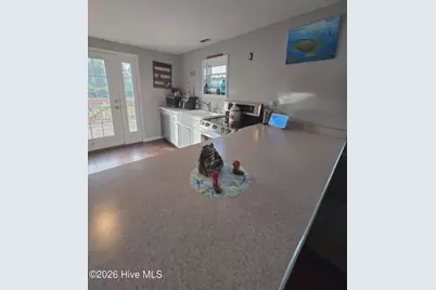 1063 Highway 70, Stacy, NC 28581 - Photo 6