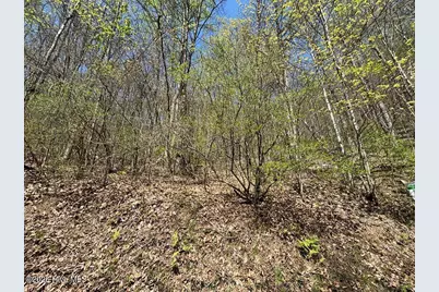 Lot 4 Outlook Road, Murphy, NC 28906 - Photo 8