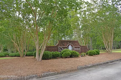 64 Shoreline Court, Oriental, NC 28571 - Photo 14