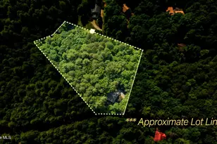 147 Holly Ridge Ln, Murphy, NC 28906 - Photo 2