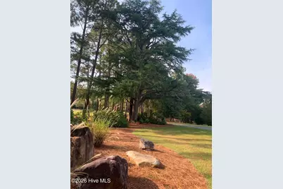 180 Valleyfield Lane, Southern Pines, NC 28387 - Photo 80