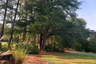 180 Valleyfield Ln, Southern Pines, NC 28387 - Photo 58