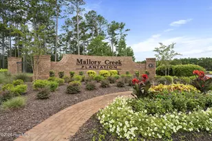 8339 Slippery Elm Ct, Winnabow, NC 28479 - Photo 30