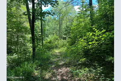 Lt 41 & 42 Smokey Hollow Drive, Murphy, NC 28906 - Photo 34