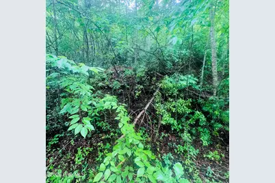 Lot 20 Owl Bluff, Murphy, NC 28906 - Photo 2