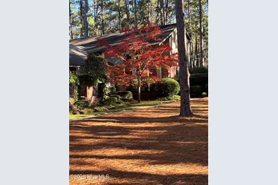 335 Swoope Drive, Southern Pines, NC 28387 - Photo 38