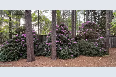 335 Swoope Drive, Southern Pines, NC 28387 - Photo 38
