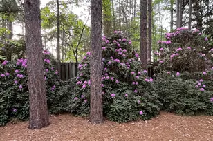 335 Swoope Dr, Southern Pines, NC 28387 - Photo 38