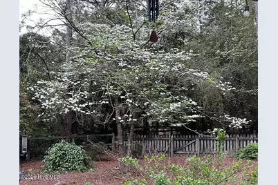 335 Swoope Drive, Southern Pines, NC 28387 - Photo 40